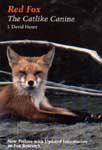 Red Fox - The Catlike Canine